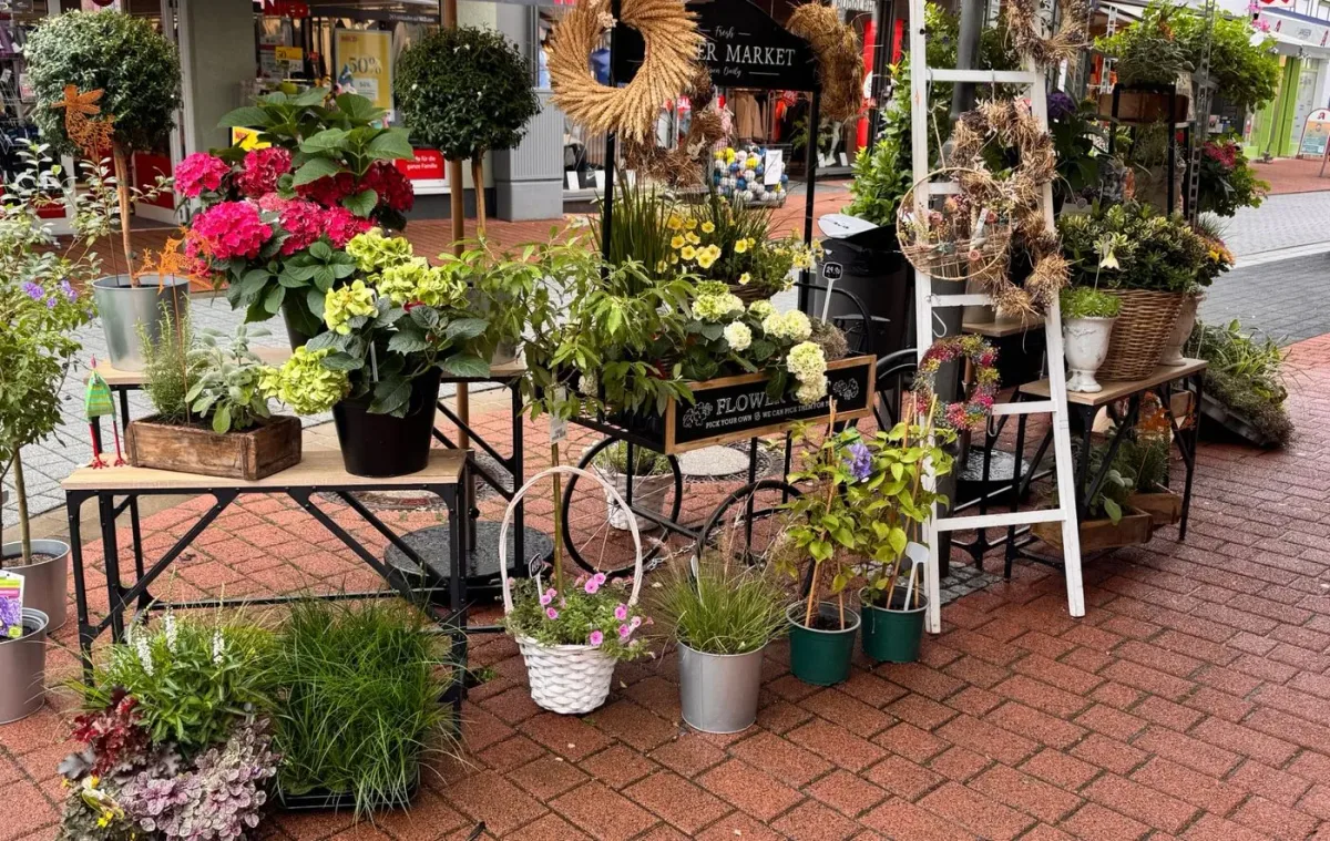 Außenbereich Pflanzen